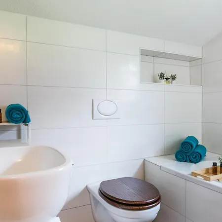Spirit Apartments - 5-Br Villa - Lake View - Parking - Ac * Brienz (Bern)