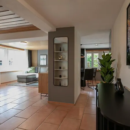 Apartment Spirit Apartments - 5-Br Villa - Lake View - Parking - Ac Brienz (Bern)