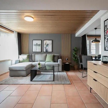 Apartment Spirit Apartments - 5-Br Villa - Lake View - Parking - Ac Brienz (Bern)